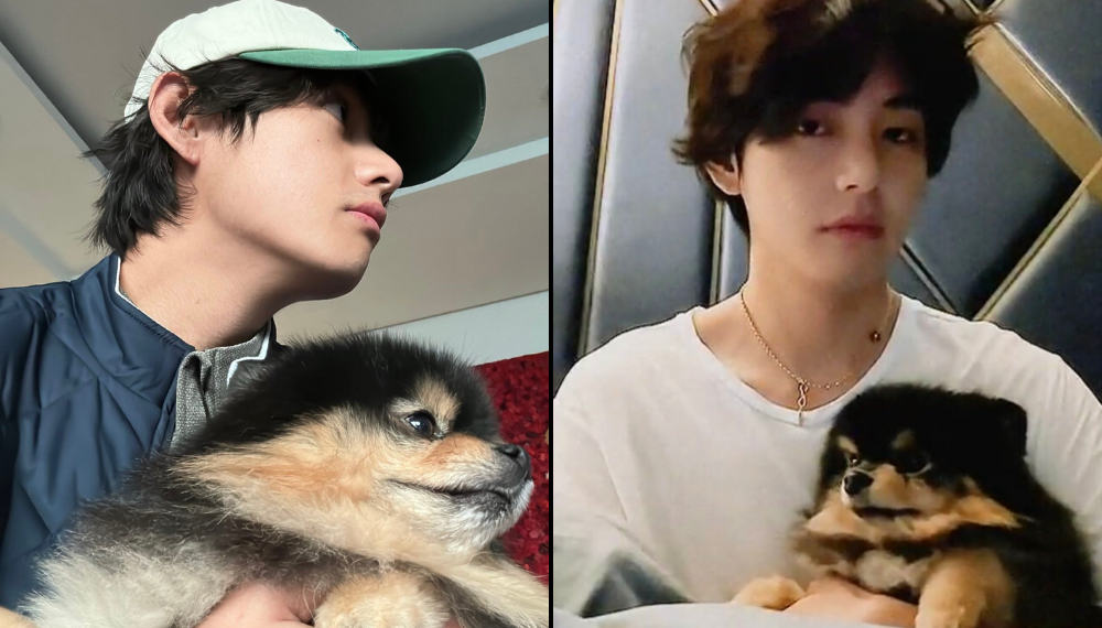 Cutest Duo: BTS's V (Kim Taehyung) Shares New Updates With His Adorable Pet Dog Yeontan
