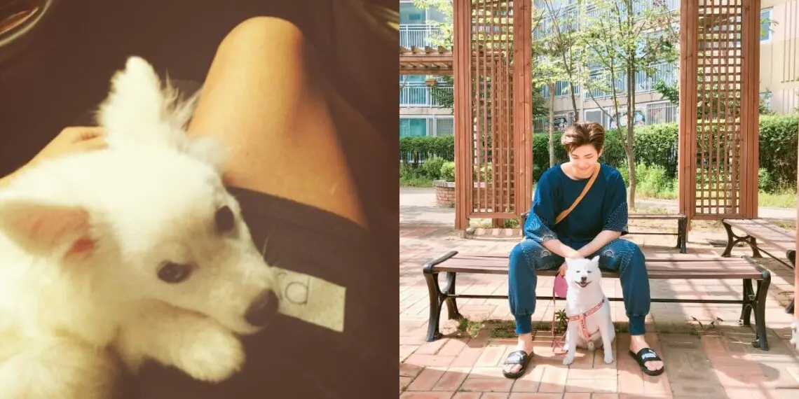 BTS RM shares the heartbreaking news of his beloved dog's passing