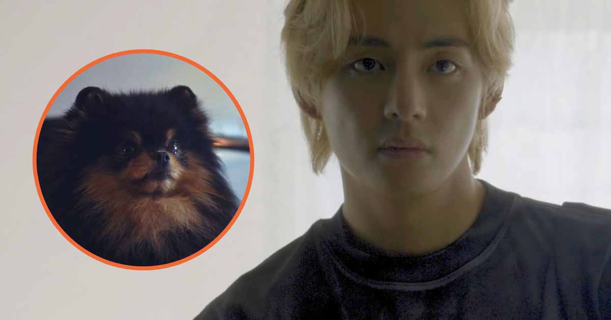 BTS’s V Exposes The Shocking Truth Behind Yeontan’s Appearance In “Rainy Days” MV