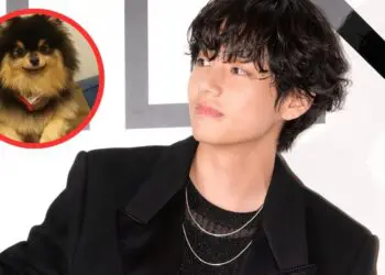 Why Yeontan Was Destined To Meet The Best Dog Dad Around — BTS’s V