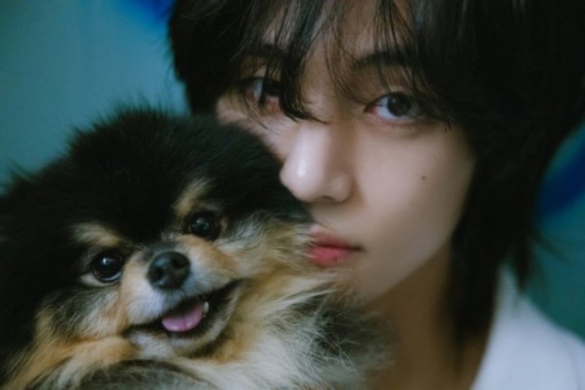 BTS’s V (Kim Taehyung), RM, and J-Hope attend Tyler, the Creator’s Seoul concert