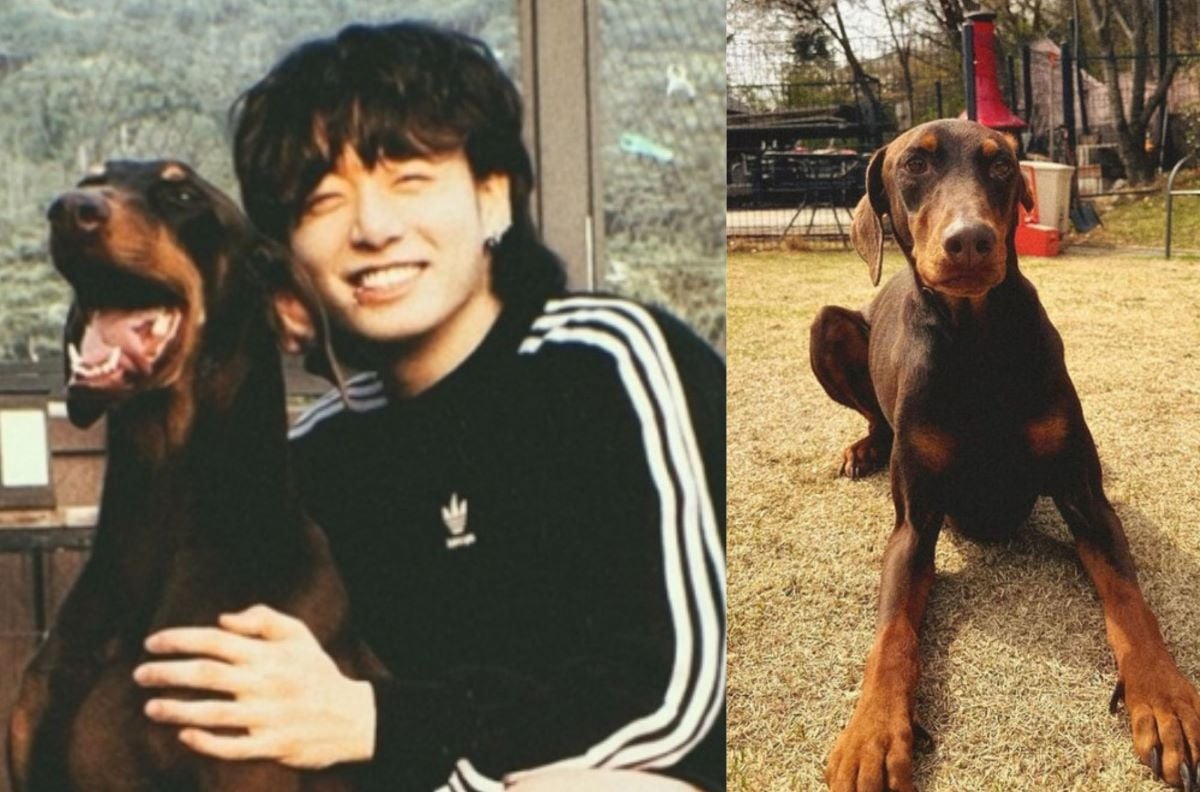 World’s most controversial incidents in showbiz in 2022: Will Smith gained mass attention with his infamous slap, Jennie was exposed of dating with V (BTS) through a series of leaked photos